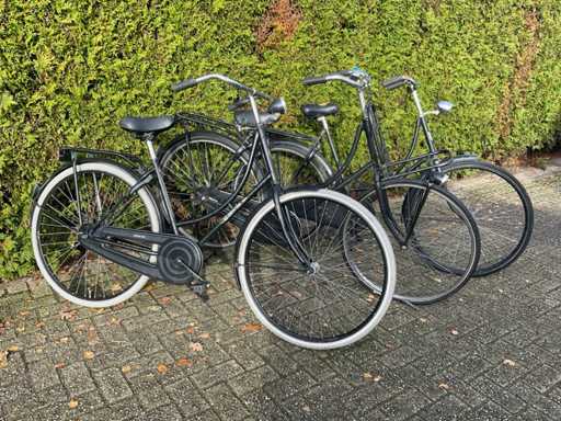 o.a. Cortina Damesfiets (3x)