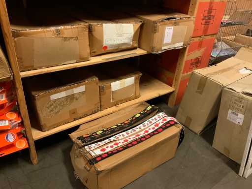 Curea cu imprimare (600x)