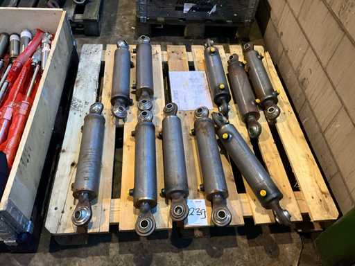 Hydrauliek cilinder (10x)