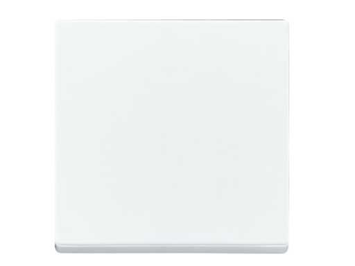 Busch-Jaeger - 6735/10-84 - 2CKA006730A0164 - Betriebskippe (50x)