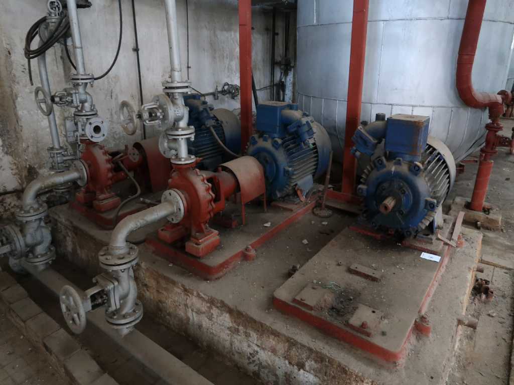 Pumps with electric motor (3x)