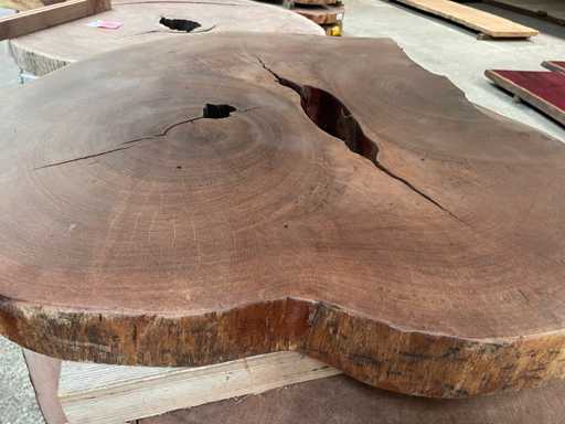 Guyana Teak houten schijf 1000mm