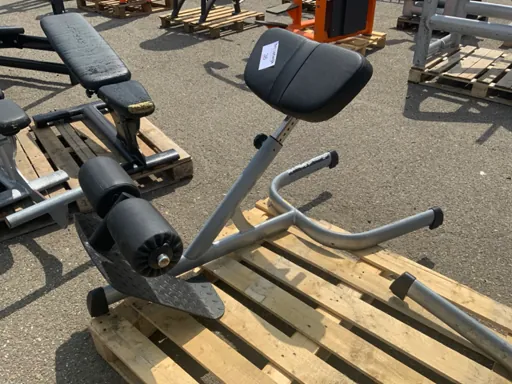 Gym80 Signum hyperextension Krachtstation