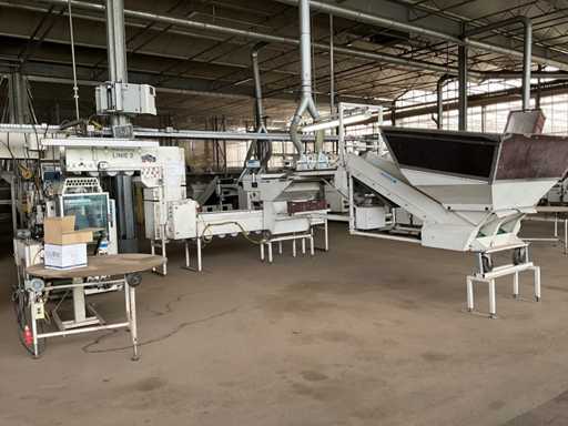 1990 Hachmang HP25000 Ligne d’emballage de bulbes à fleurs