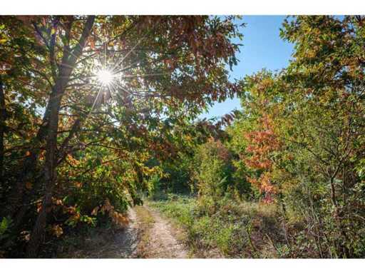 32,541 m² of mixed deciduous forest in the Vidin region - Bulgaria