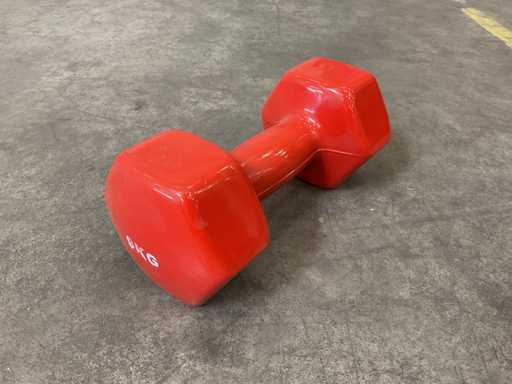 Set di 2 pezzi manubri da 9 kg