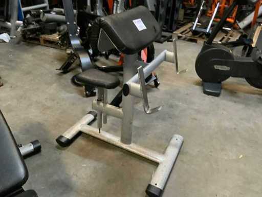 Gym80 Signum bench biceps debout Multi-salle de sport