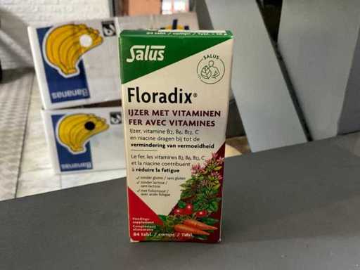 Floradix IJzer met vitaminen (2x)