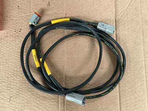 Cablaggio ramificato