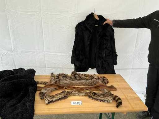 Coats and Scarf (3x)