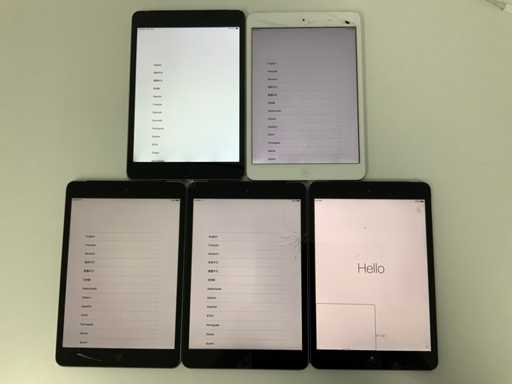 Apple - iPad mini 4 64 GB + iPad 1 mini 1 16 GB (5x)