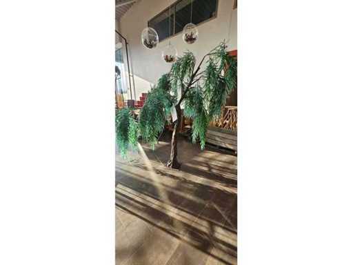 Decoratieve nepplant