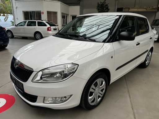 Skoda - Fabia - Masina - 2013