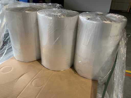 Geant? transparent? de etan?are inferioar? pe rol? (15000x)