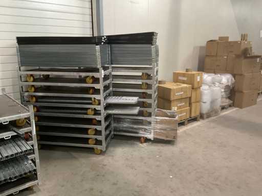 C?rucior danez / c?rucior cu flori (8 buc??i)