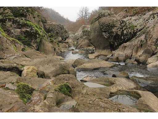 Foresta decidua 113.324 m² a Gorno Ozirovo, Varshets Montana - Bulgaria