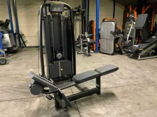 Ligne de sélection Technogym Multi-gym