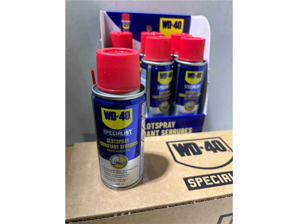 WD 40 - 100ml - Spray per serrature (6x)