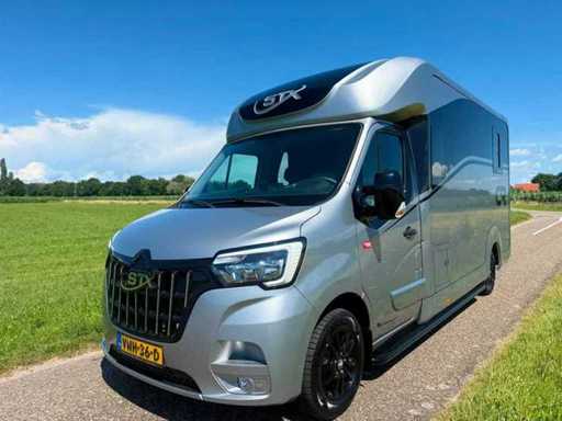 Renault - Master - STX - Pferdewagen - Pferdewagen - Pferdeanhänger - T35 2,3 dCi L3H1 - 1700 km
