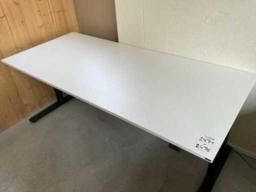 Echo Desk