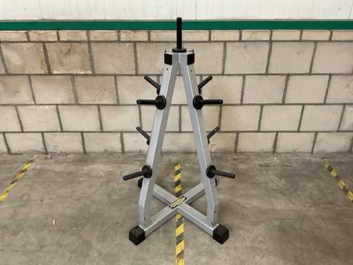 Standard, piastre di peso a 4 lati Technogym