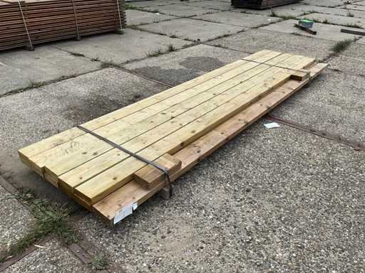 Molid cu grind? (9x)