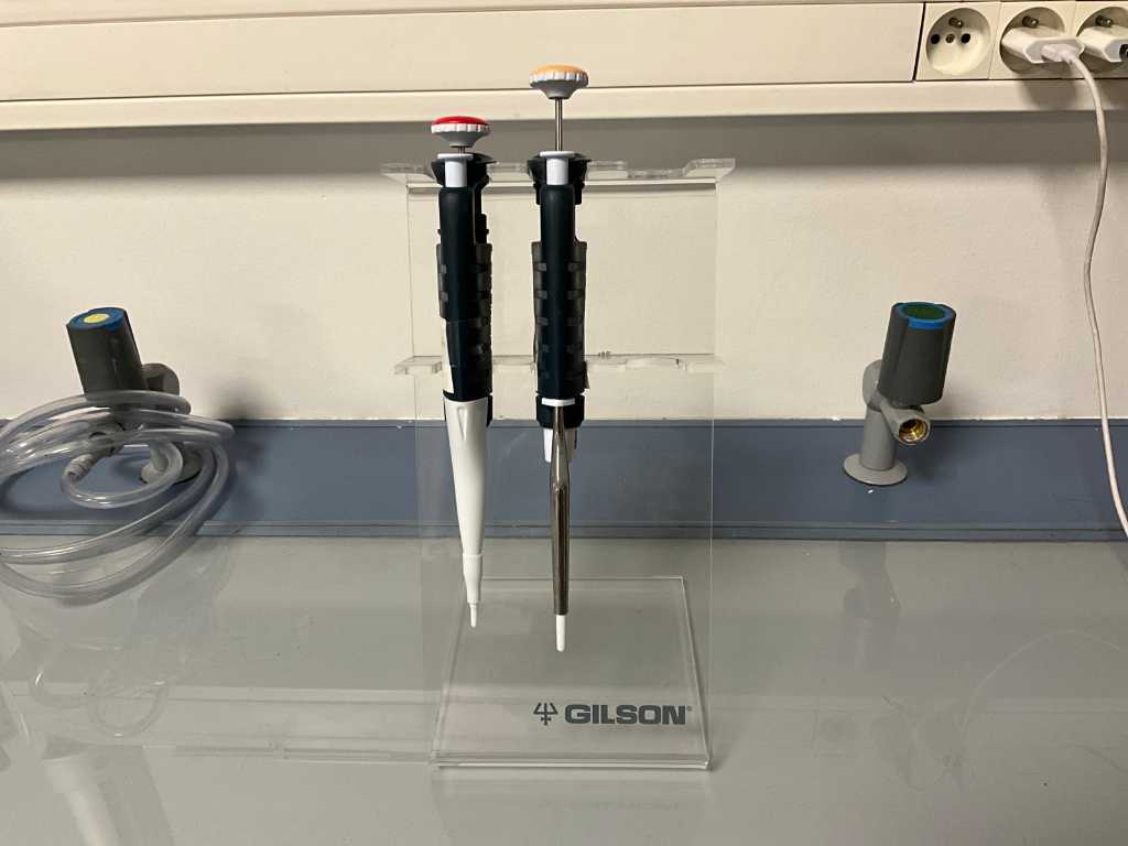 GILSON Set of 2 pipettes + rack