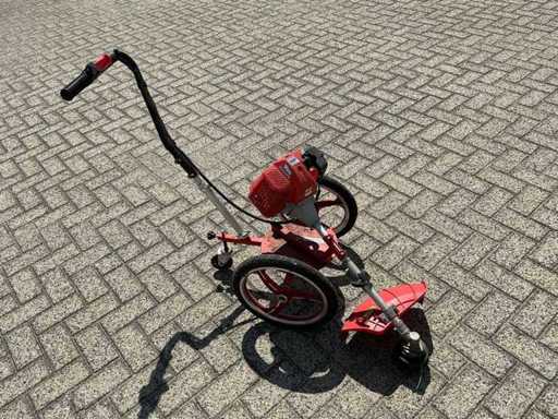Hecht - 2020 - 155 - Brush cutter