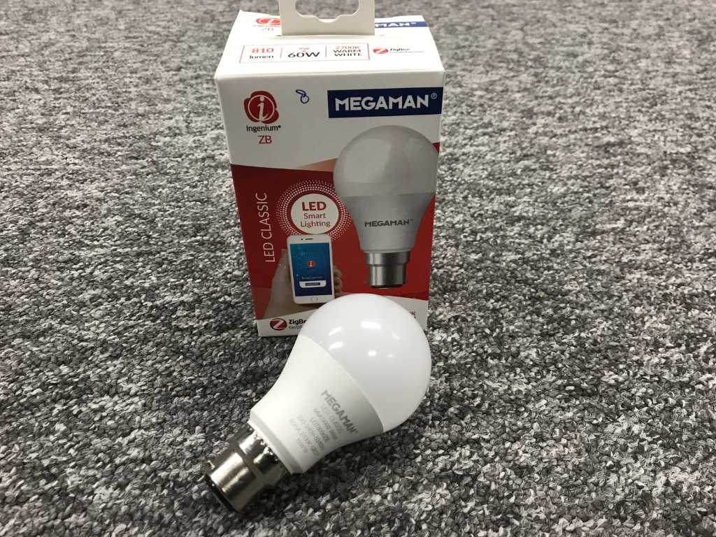 LED bulb B22 (30x)