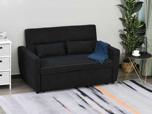 2-zits slaapbank, met slaapfunctie