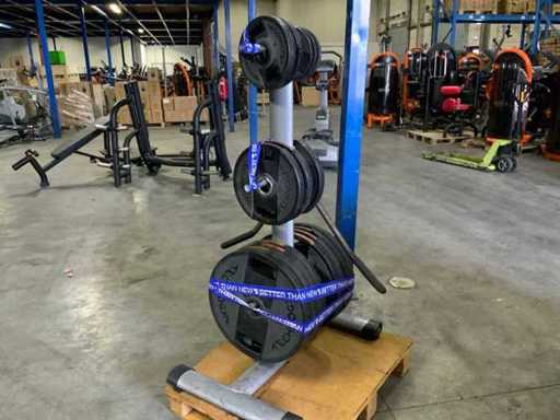 Diversen 50mm schijven 125kg met rek Krachtstation