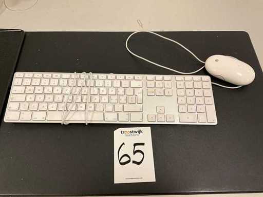 Tastatură și mouse Apple