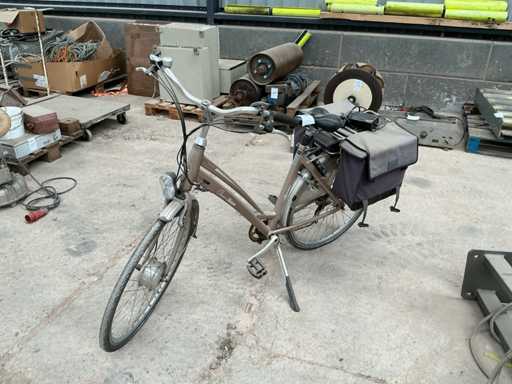 Bicicleta electrică Mendoza Green-Team