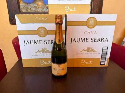 Jaume Serra Batch of distilled spirits (cava) (28x)