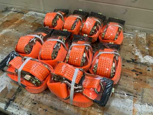 Zurrgurt 5000 kg 8 Meter (10x)