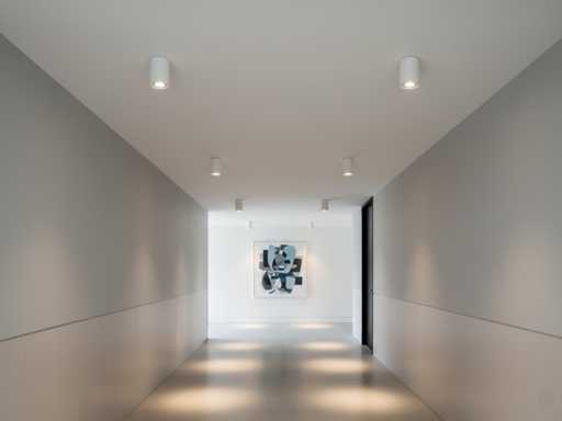 GU10 Opbouwspot Armatuur kantelbaar 12,5cm (10x)