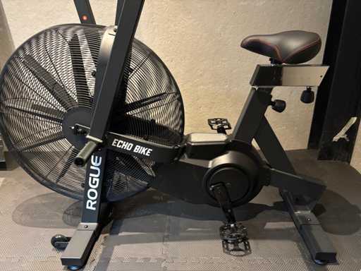 Rogue Echo bike Armfiets