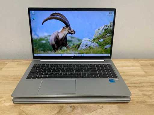 HP Probook 450 G8 Laptop (2x)
