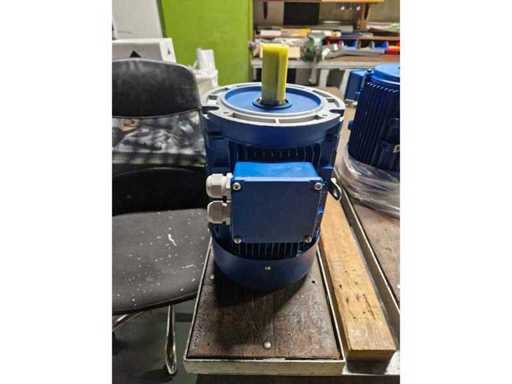 MOLL  IEC electromotor