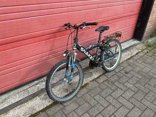 Vélo Batavus Snake
