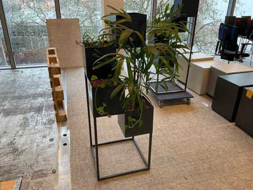 Hydroponische Anlage mit Pflanzgerät