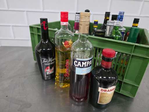 Disarono, Tia Maria, Campari, etc. Lot de diverse sticle de alcool