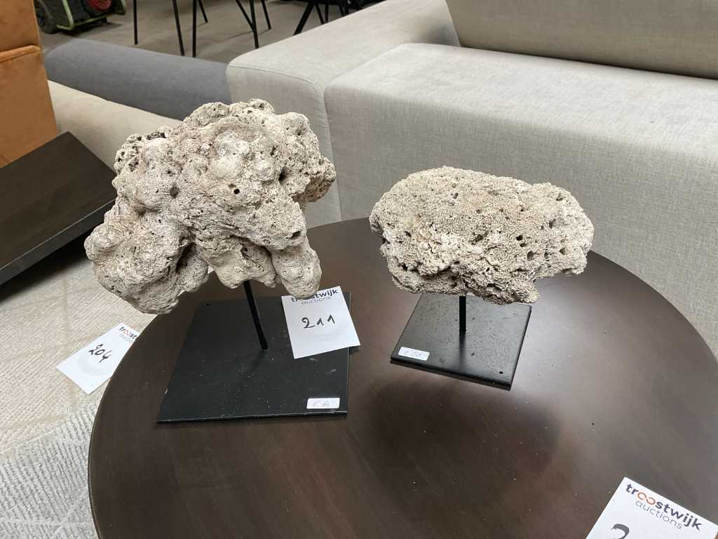 dekorative Koralle am Fuß (2x)
