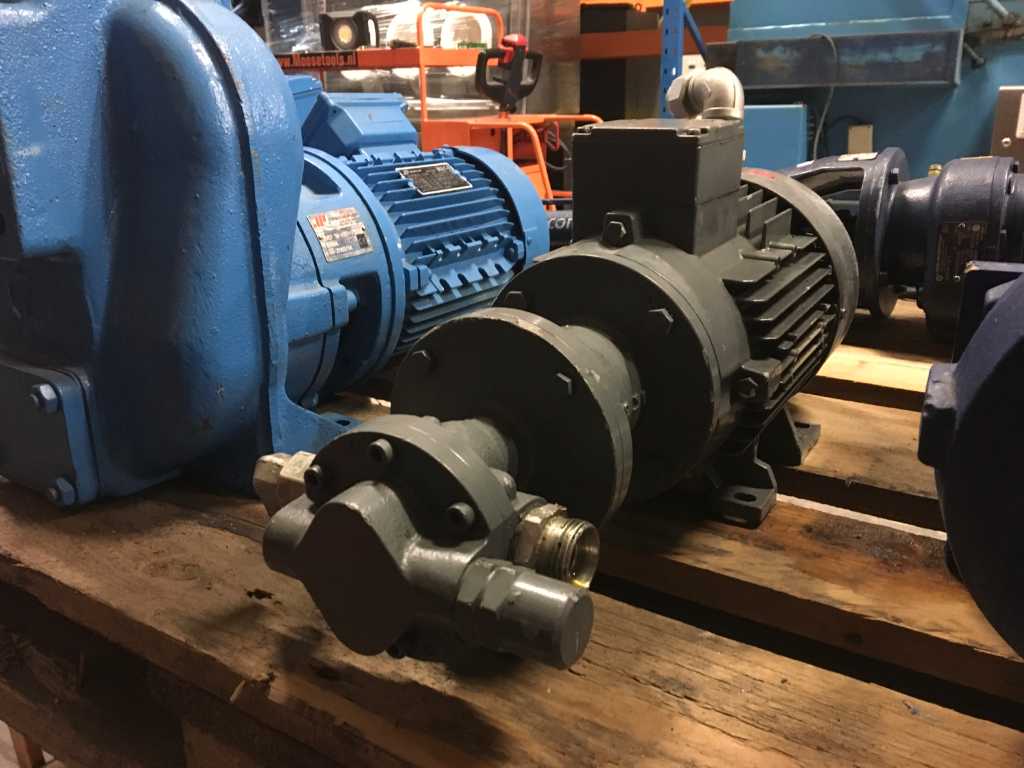Baier + Koppel Gear Pump