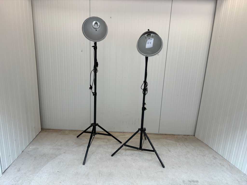 Metalen lamp (2x)