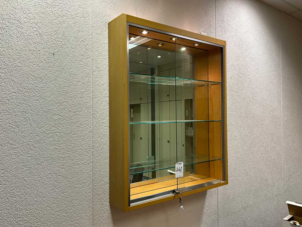 Display case with lighting