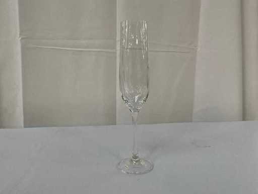 Linea champagneglas (50x)