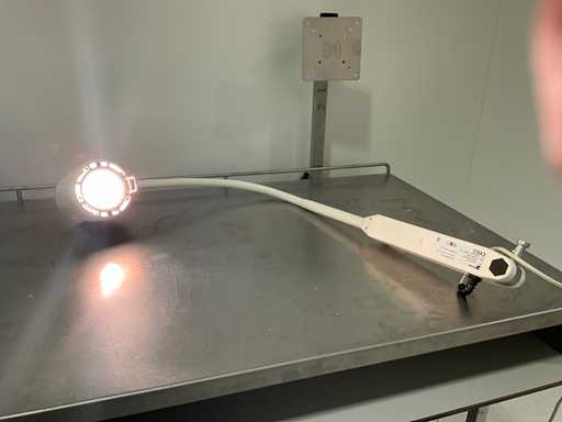 Derungs Halux 50 P SX Kalte Lampe