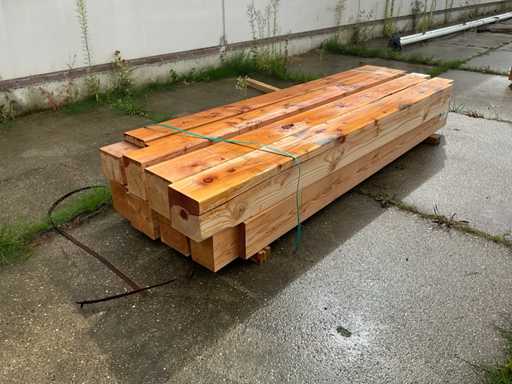 Stâlpi Douglas cu adâncitur? (8x)