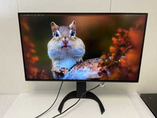 Eizo (EV3285) 32”, 3840x2160 (UHD) IPS Monitor